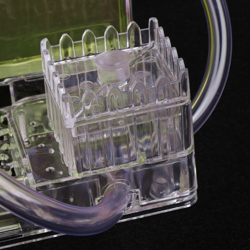 Hộp nuôi kiến thiết kế 3D độc đáo