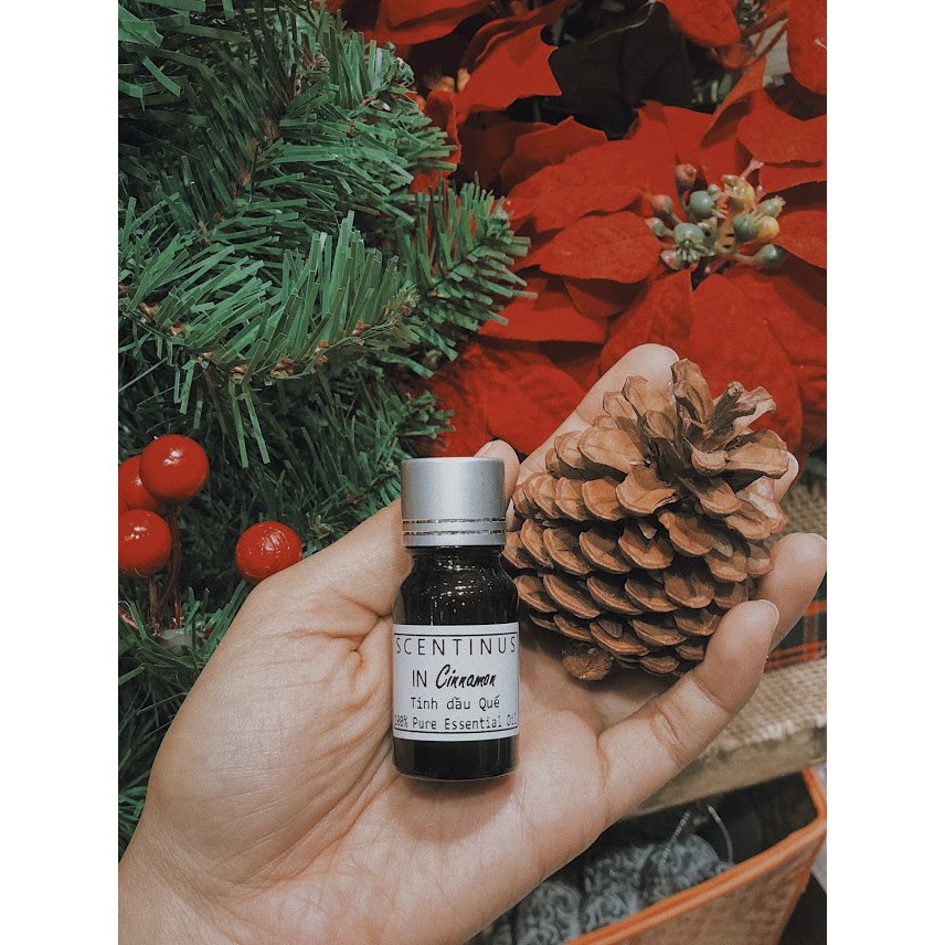 TINH DẦU QUẾ - CINNAMON