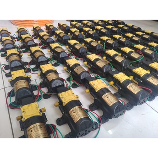 Máy Bơm Áp Lực Mini 12V Motor Dây Đồng