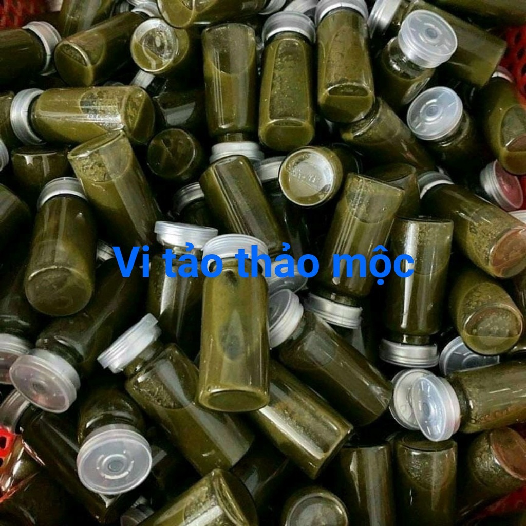 Peel Da Retinol Vi Tảo thuần thiên nhiên, tái sinh làn da sau 3-7 ngày, tặng kèm tế bào gốc phục hồi da