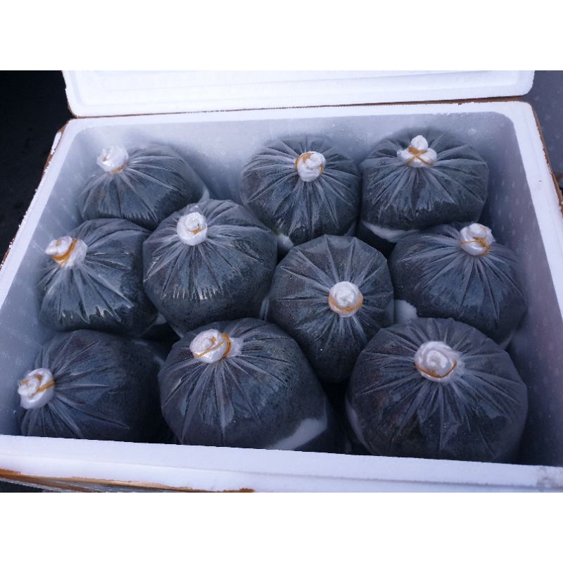 Rong nho tươi 1kg-