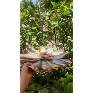 khô cá dứa nhỏ ngon tuyệt ạ