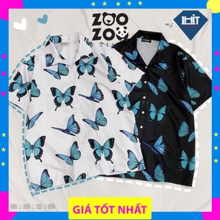 Áo sơ mi tay lỡ in họa tiết bướm xanh ulzzang