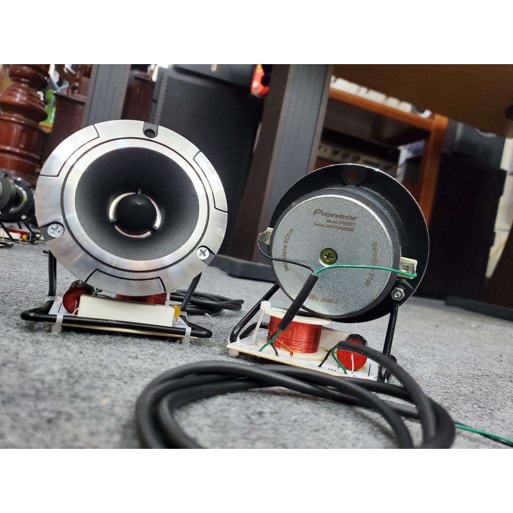 Cặp Loa Siêu Treble Pioneer P8801