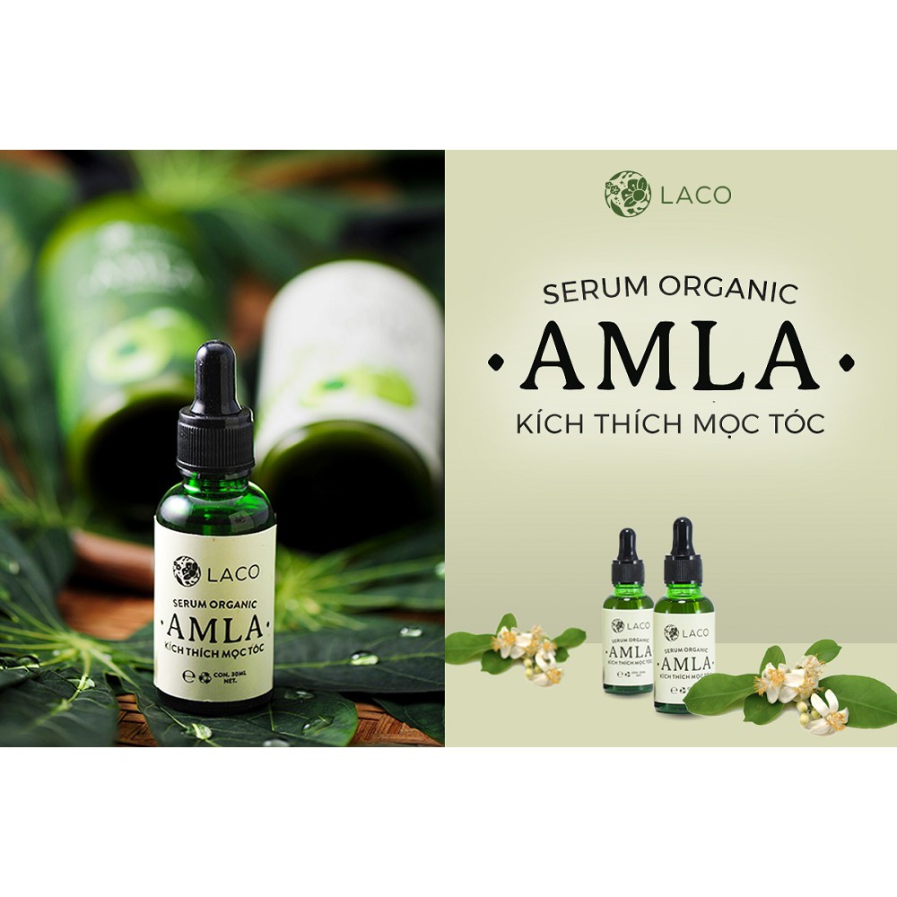 Bộ sản phẩm dầu gội Laco ORGANIC AMLA trị rụng tóc, kích thích mọc tốc, hiệu quả trong tuần đầu tiên sử dụng