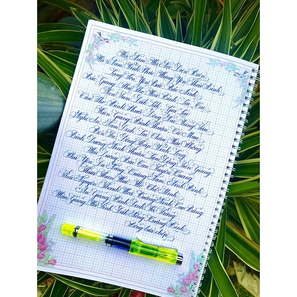 BÚT THI VIẾT CHỮ ĐẸP ❤️ LêTa mã 368