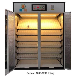 Khay đảo trứng l100