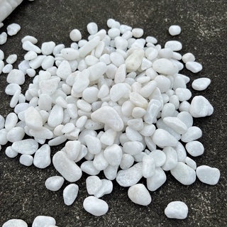 100gram đá trắng trồng cây, trang trí thả đáy bể cá và decor các công trình thủy sinh