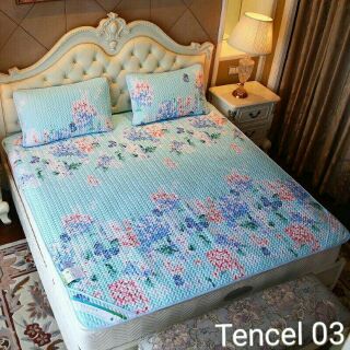Chiếu teccel chuẩn m6*2m