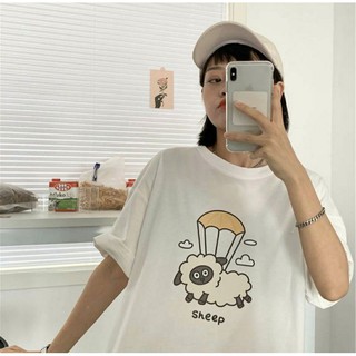áo thun tay lỡ sheep 😊😊😊