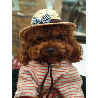 Mũ CÓI siêu xinh CHÓ - MÈO