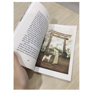 Sách: Hachiko - Chú Chó Đợi Chờ (Bìa Mềm)