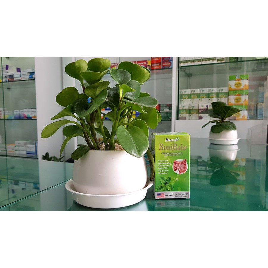 BoniBaio + giúp bổ sung vi khuẩn có lợi, hỗ trợ cân bằng hệ vi sinh đường ruột và tăng cường sức khỏe hệ tiêu hóa (lọ 30