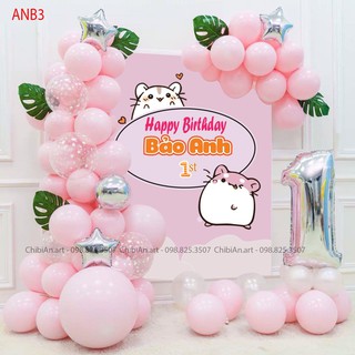 Set bóng bay trang trí sinh nhật cho bé gái ANB3