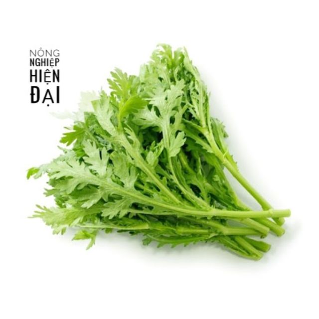 Hạt Giống Tần Ô 20gram