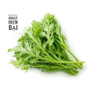Hạt giống tần ô 20gram