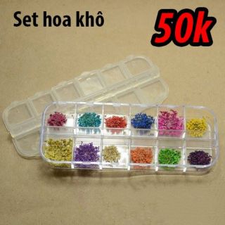 Hoa khô- hoa lụa- hoa 5 cánh làm Nail