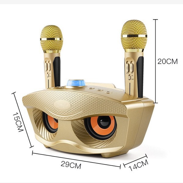 Loa Bluetooth karaoke SDRD SD 306 Plus bản 2020 đa năng, Loa kèm 2 micro hát karaoke Không dây- Phiên Bản Nâng Cấp lọc