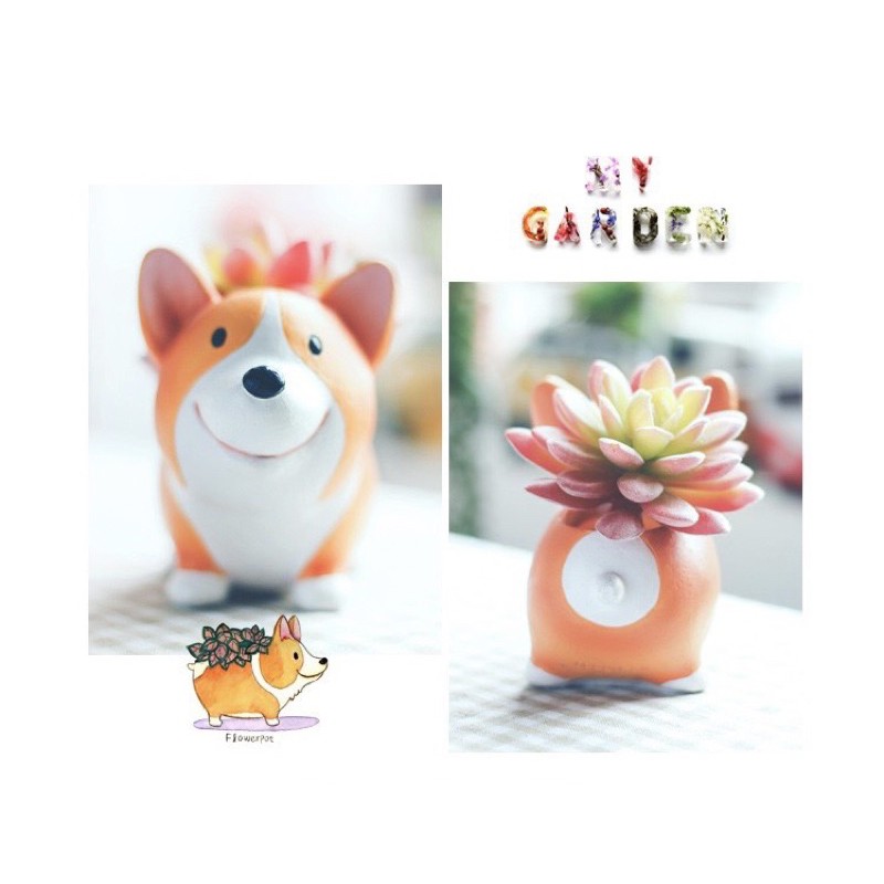 Chậu composite mini Corgi dễ thương trồng sen đá/xương rồng