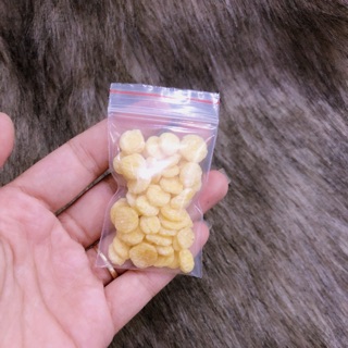 Bắp cán dẹp ăn dặm hamster