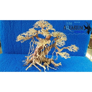 Cây Bonsai cho hồ cá size lớn