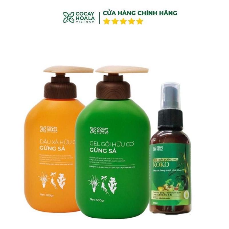 Dầu gội thảo dược gừng sả Cocayhoala dành cho mẹ bầu an toàn lành tính 500g/chai