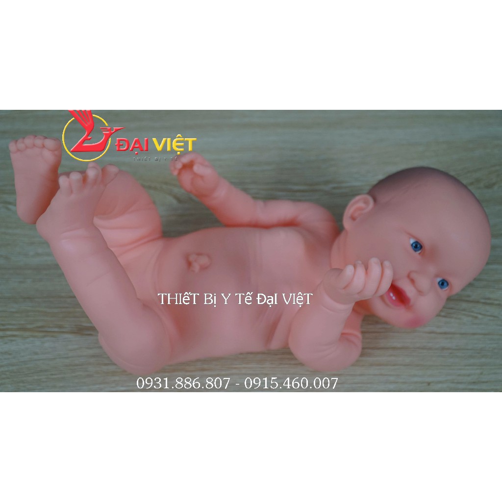 Mô hình trẻ sơ sinh