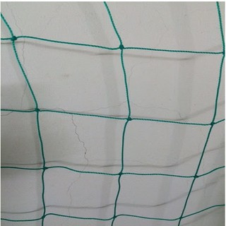 Lưới giàn leo,lưới giàn cây (2X6m mắt lưới 14x14cm)
