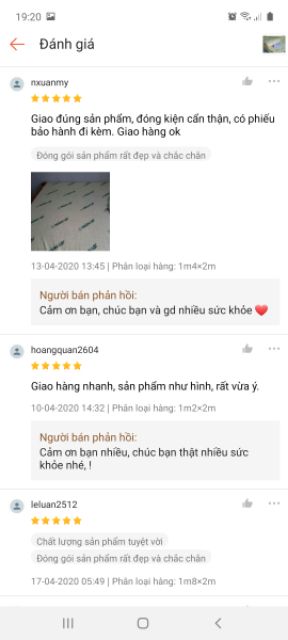 Nệm cao su non Thắng Lợi dày 10cm