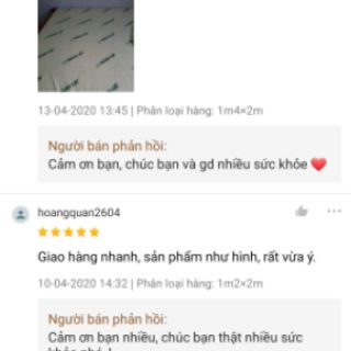 Nệm cao su non Thắng Lợi (Ko quà)