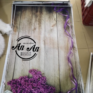 Vải nền hình 3d chụp ảnh