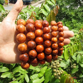 Vòng Tay Huyết Long Nu Vân Đep Thêm Lựa Chọn Hộp Gấm