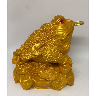 Cóc Vàng Poly Nhỏ PT0091
