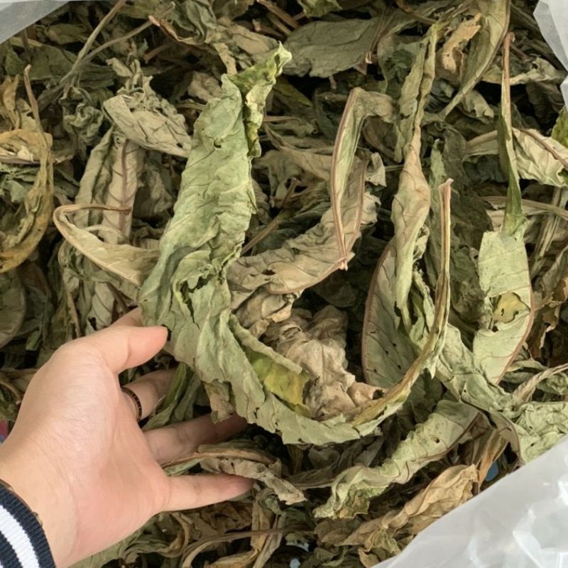 Lá Khôi Tía, Khôi Nhung rừng, chuẩn mới thơm sạch