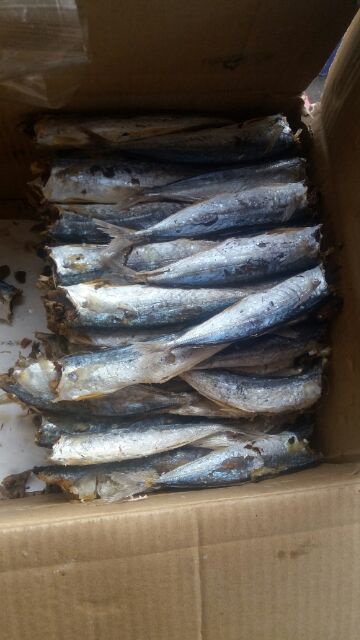 Cá nục khô ngon giá rẻ