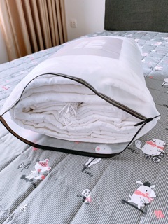 Ruột chăn hè Muji