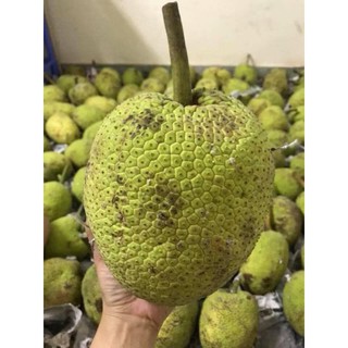 quả sake tươi 1kg