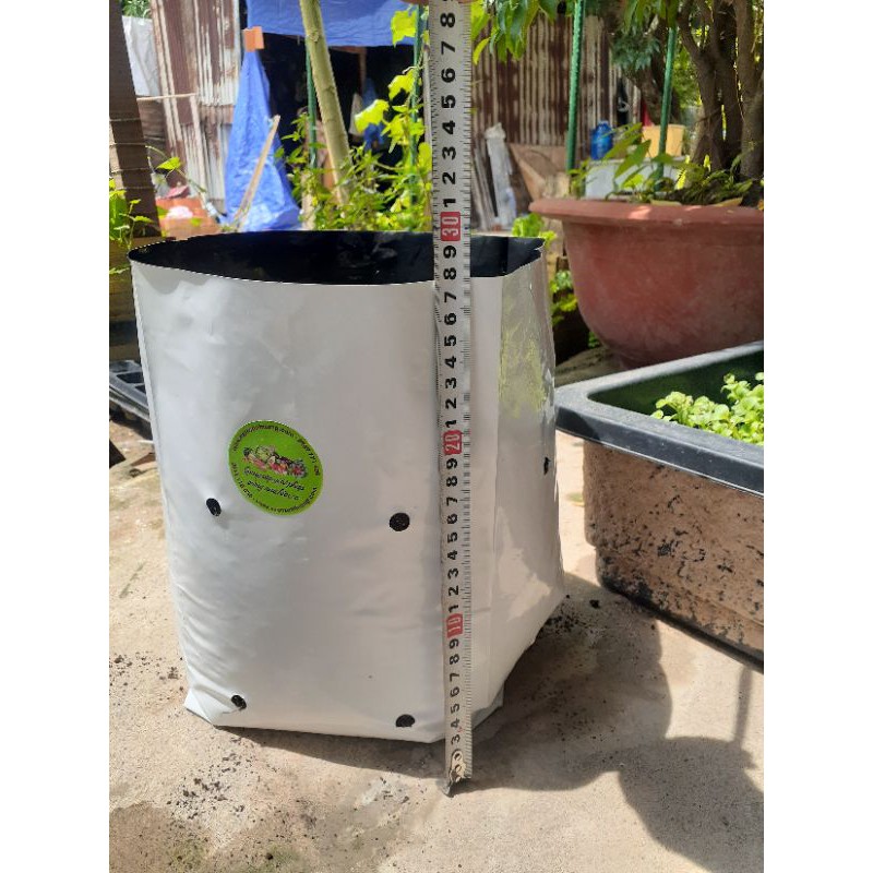 Túi Nhựa, PE, Nilon 2 Lớp (1 Cái) Chuyên Trồng Dưa Lưới, Cây, Rau Tiện Lợi, Dễ Sử Dụng