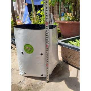 Túi Nhựa, PE, Nilon 2 Lớp (1 Cái) Chuyên Trồng Dưa Lưới, Cây, Rau Tiện Lợi, Dễ Sử Dụng