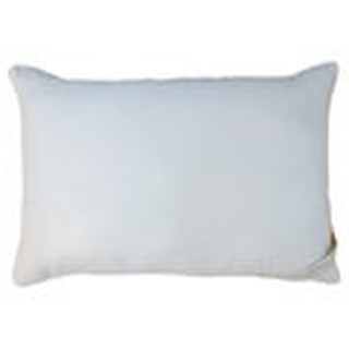 Ruột gối Everon Standard chính hãng
