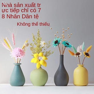 Hoa khô Sáng tạo Bình gốm nhỏ Phòng khách Cắm hoa để bàn Phong cách Bắc Âu Trang chủ Nội thất TV Trang trí phòng Trang t