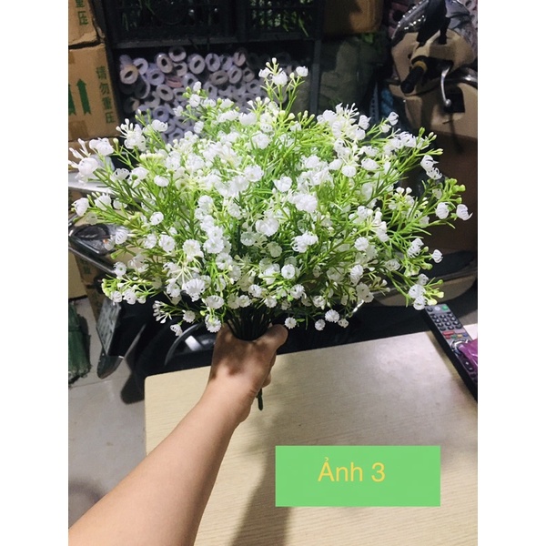 Ngọn đào đông gắn cành, cherry quả dài đỏ điểm bó hoa