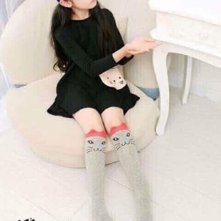 Tất gối sỉ 25k.