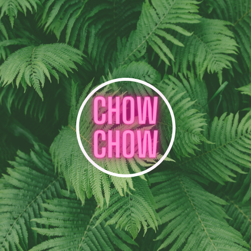 ChowChow-shop