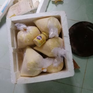 500g sữa ong chúa tươi