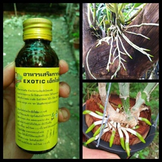 siêu Kích rễ Thái Lan EXOTIC(loại mới) cực mạnh mới lọ 100ml