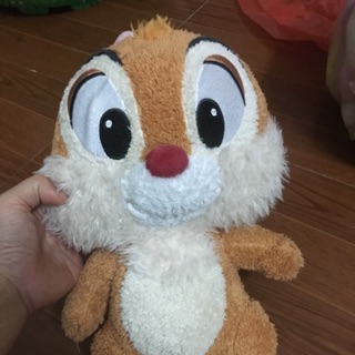 Sét gấu bông e thu