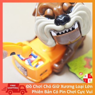Bộ Chó Giữ Xương Trộm Xương Chó Loại Lớn
