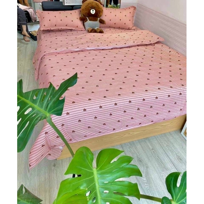 Bộ ga gối hàng Poly | BigBuy360 - bigbuy360.vn