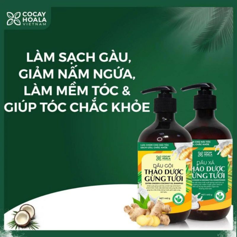 COMBO DẦU GỘI XẢ THẢO DƯỢC GỪNG DỪA HỮU CƠ CỎ CÂY HOA LÁ SẠCH GÀU, GIẢM NẤM NGỨA, DƯỠNG ẨM VÀ LÀM MỀM TÓC HIỆU QUẢ
